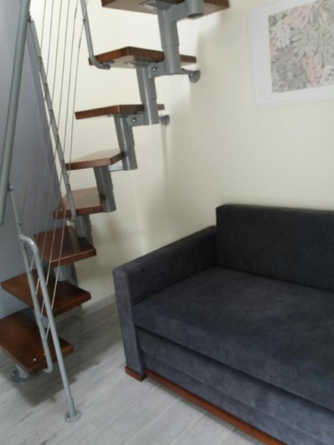 Exclusive Ciesliska